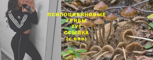 винт Алексин