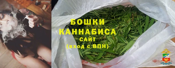шишки Горно-Алтайск