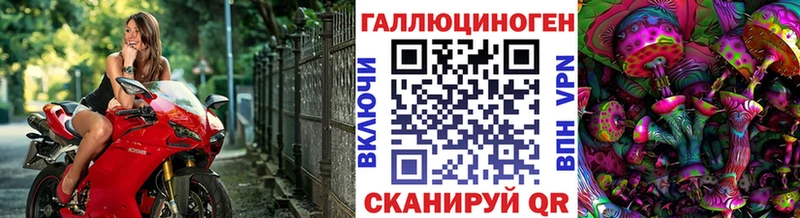 Псилоцибиновые грибы GOLDEN TEACHER  Волгоград 