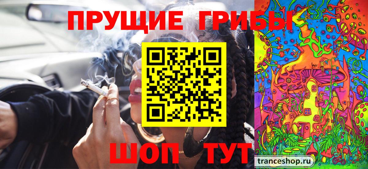 Волгоград  Псилоцибиновые грибы GOLDEN TEACHER  Галлюциногенные грибы GOLDEN TEACHER  Вход с VPN 